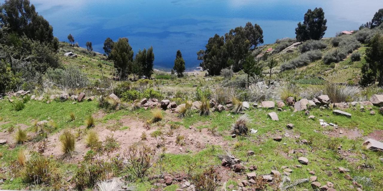 Taquile Hospedaje Mario Huillanopampa Exteriör bild