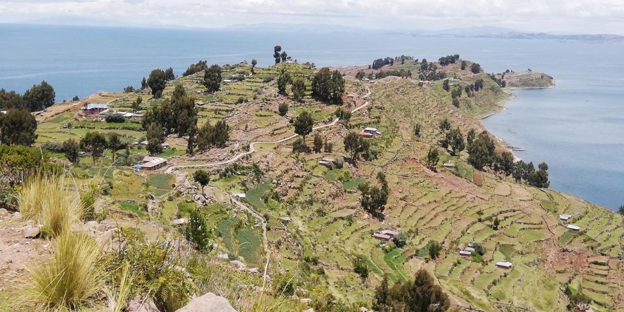 Taquile Hospedaje Mario Huillanopampa Exteriör bild