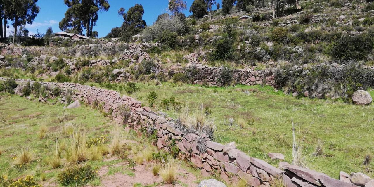 Taquile Hospedaje Mario Huillanopampa Exteriör bild