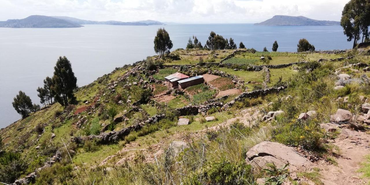 Taquile Hospedaje Mario Huillanopampa Exteriör bild