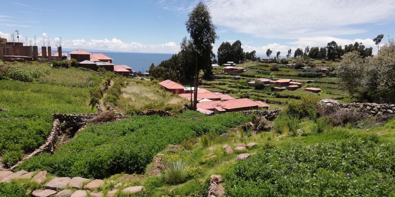 Taquile Hospedaje Mario Huillanopampa Exteriör bild