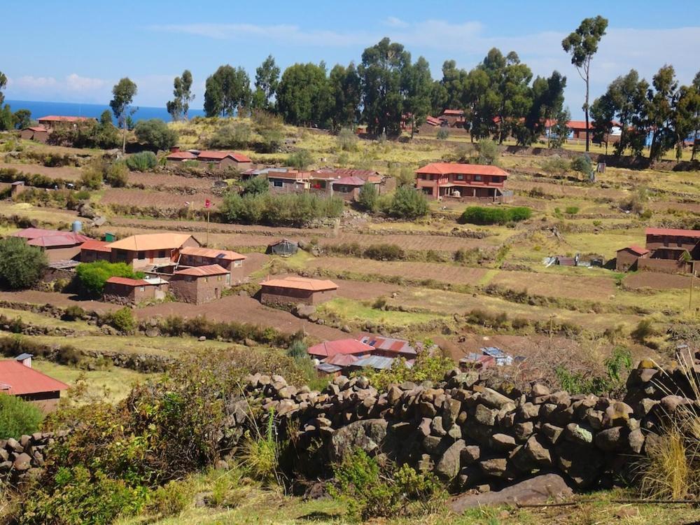 Taquile Hospedaje Mario Huillanopampa Exteriör bild