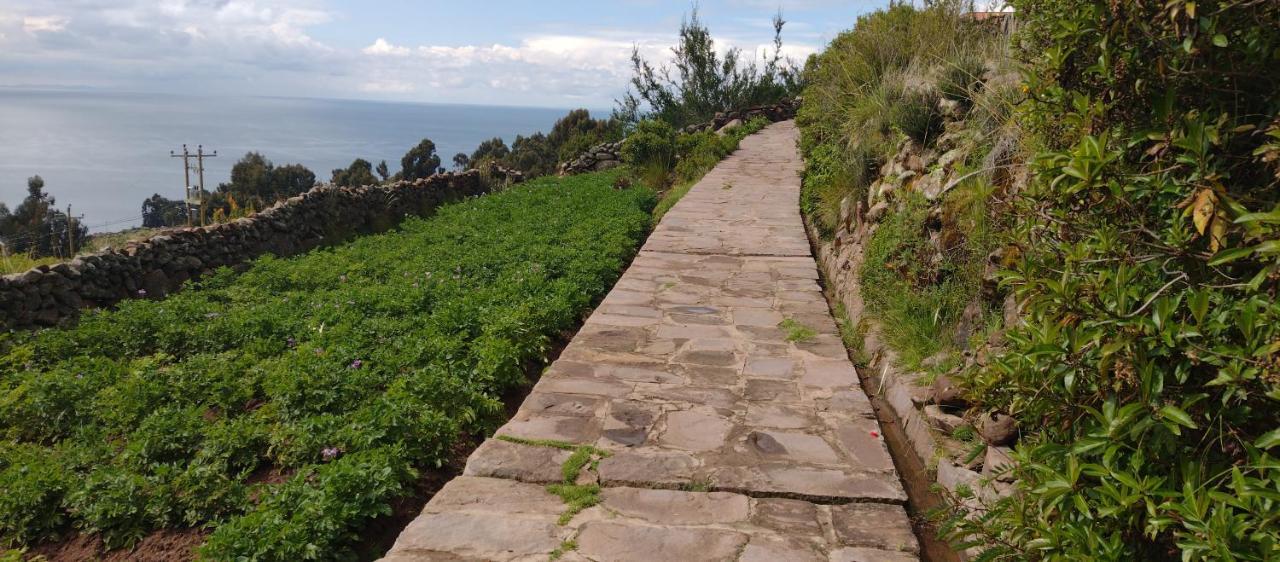 Taquile Hospedaje Mario Huillanopampa Exteriör bild