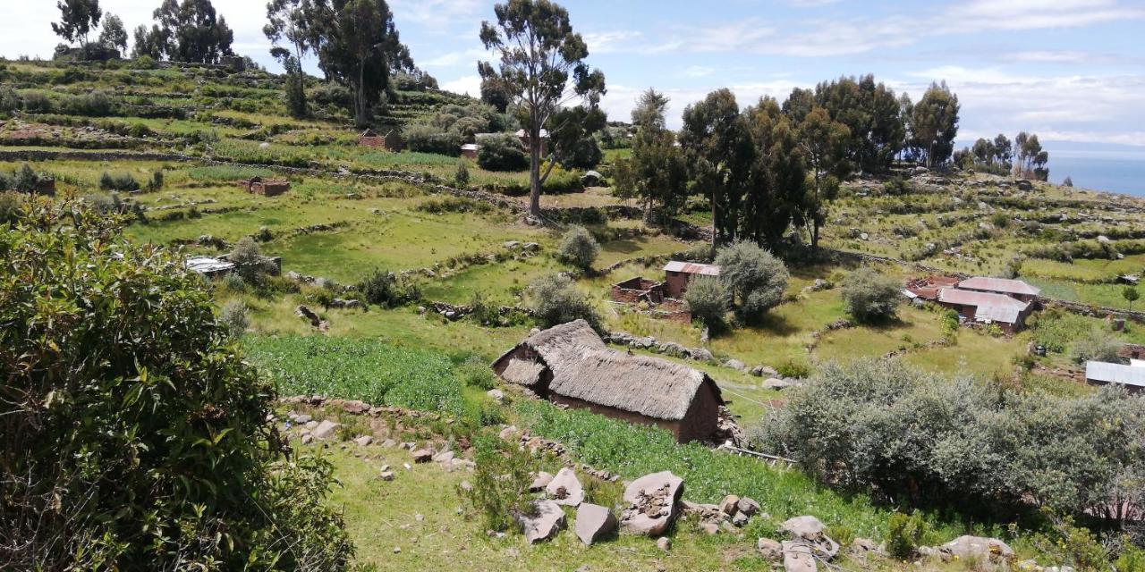 Taquile Hospedaje Mario Huillanopampa Exteriör bild